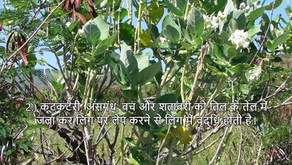 यदि आपका पतला, छोटा या टेढ़ा है तो चिंता बिलकुल न करें   Does Size Matters Don't Worry