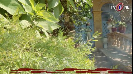 Seep _ Episode 4 Promo _ TV One Drama