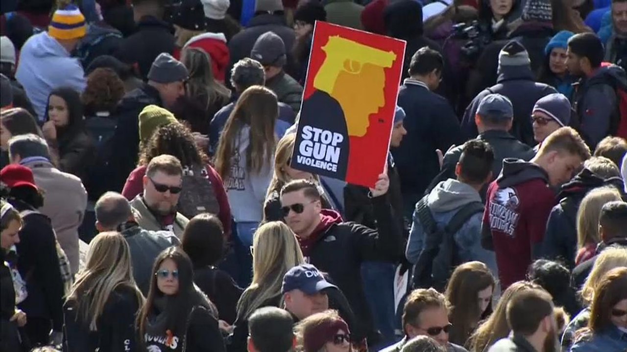 Anti-Waffen Protest in Washington; mehr als 800 weltweite Solidaraktionen