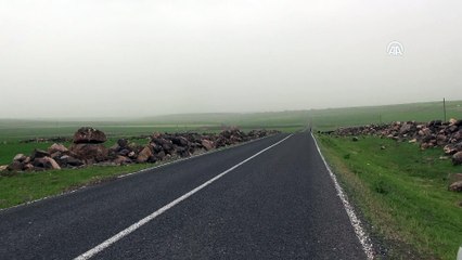 Şanlıurfa'da toz taşınımı