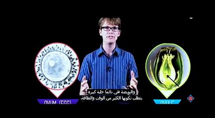 درس الثكاثر بطريقة سهلة   وممتعة مترجم بالعربية