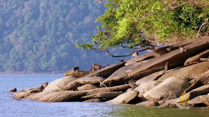 الافتراس - 6 سباق مع الزمن