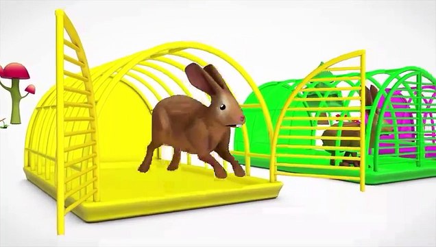 Tavsan ve inekleri besleme ile renkleri ögrenme Renkli atlar yumurta oyunu egitici çocuk filmi