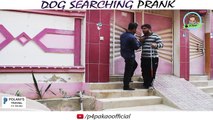 Dog Searching Prank _ By Nadir Ali In _ P4 Pakao _ 2018