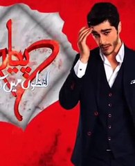 Pyaar Lafzon Mein Kahan Episode 48 Promo