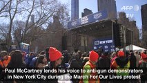 Thousands in New York join nationwide protests for gun control