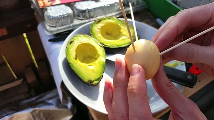 ★ How to: Grow Avocado from Seed (A Complete Step by Step Guide)