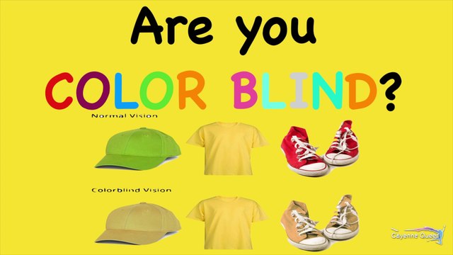 Colour Blind Test - Can You Actually See All The Colours? Color Blindness Test | Personality Test