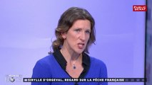 Vers une pêche durable ? - Un monde en docs (25/03/2018)