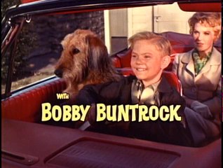 HAZEL · S03 E07 · Hazel Scores a Touchdown