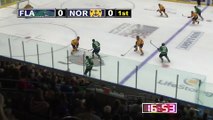 ECHL Norfolk Admirals 1 at Florida Everblades 3