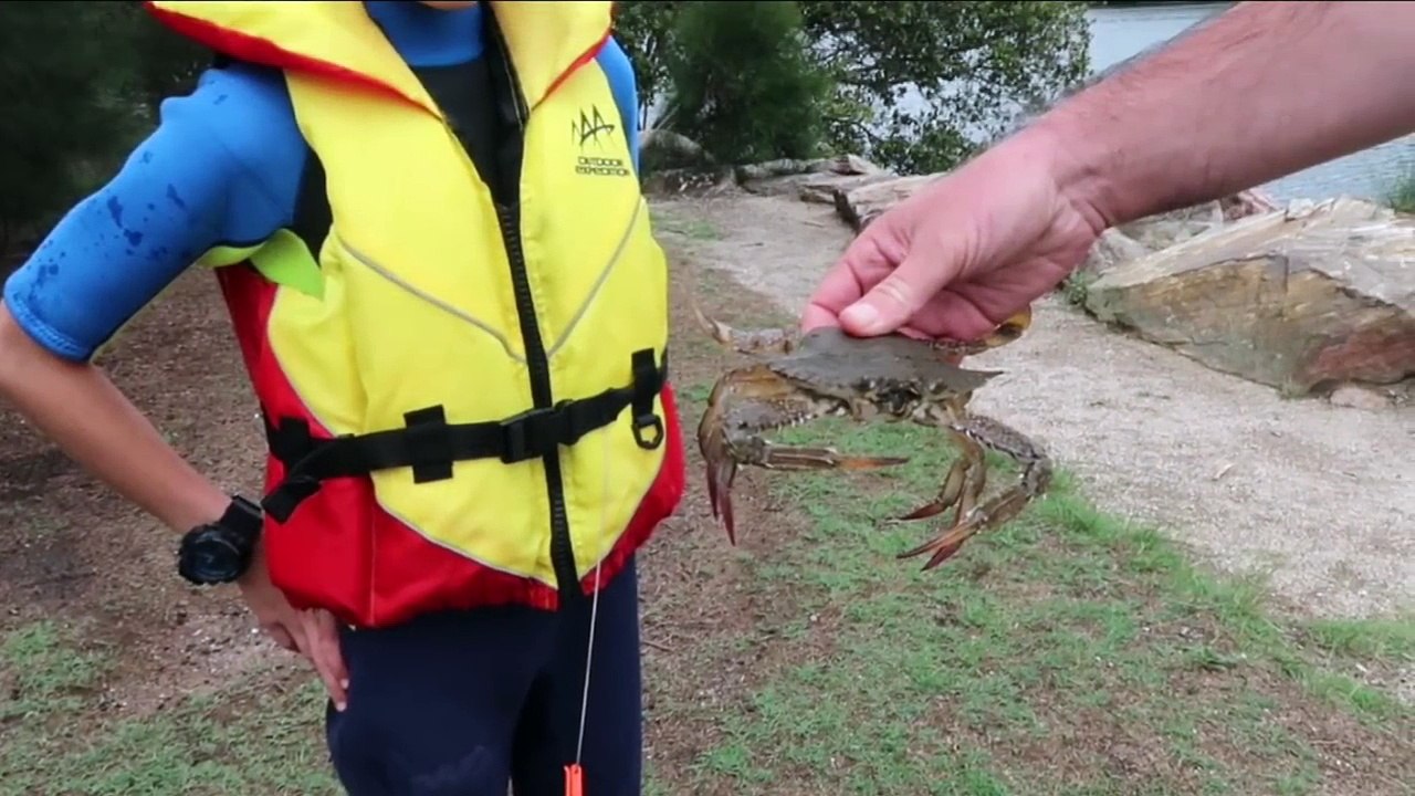 HUGE MUDCRABS caught in A KAYAK!!! + A FLATHEAD!!