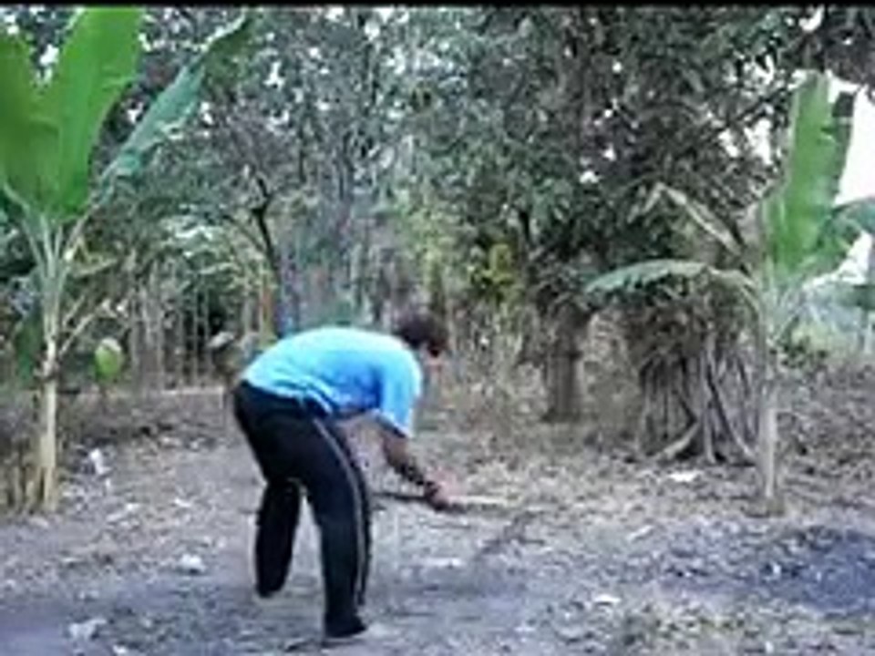 Animals Garden