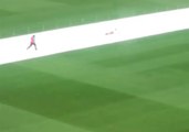 Pitch Invader Slides on Covers at New Zealand Test Match