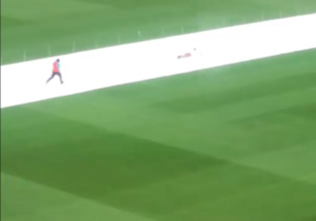 Pitch Invader Slides on Covers at New Zealand Test Match