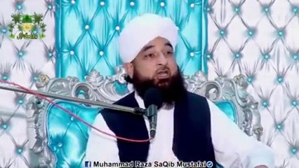 Muhammad Raza Saqib Mustafai (81)