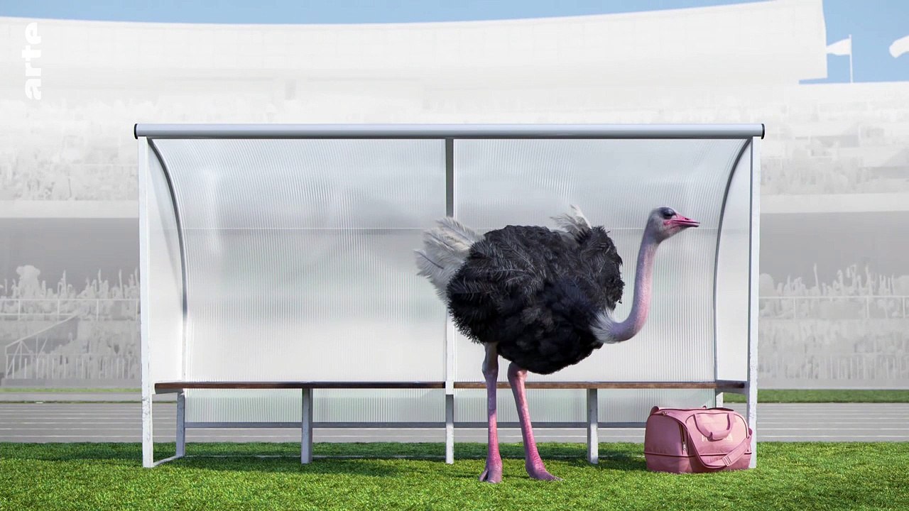 Athleticus · auf der auswechselbank - sur le banc de touche