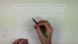 How to Draw a Grizzly Bear Growling