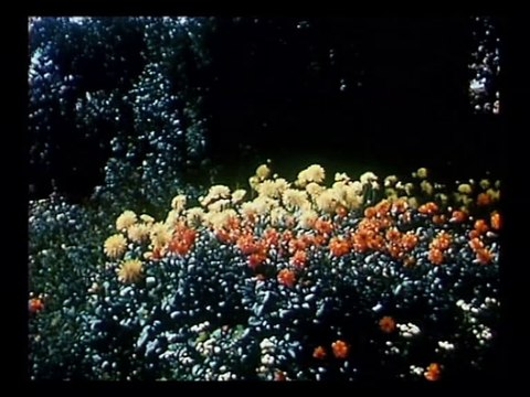 A la découverte d'Axel Henrichsen