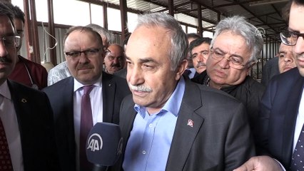 Fakıbaba: 'Hedefimiz Türkiye'nin bir milyon düve açığını kapatmak' - AFYONKARAHİSAR