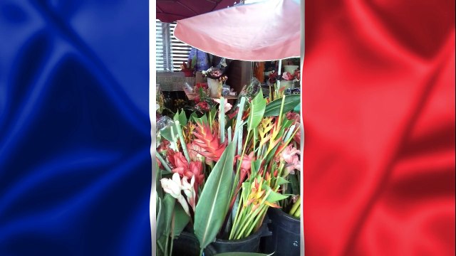 Marion nous fait visiter un marché à la Réunion