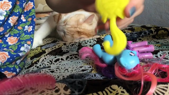 ✂ КАК ПОЧИСТИТЬ ТЕЛО ПОНИ | Как убрать мочалку с волос / гривы ✂