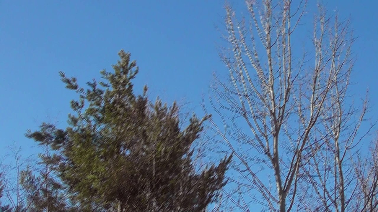 March 25 2018 DL5