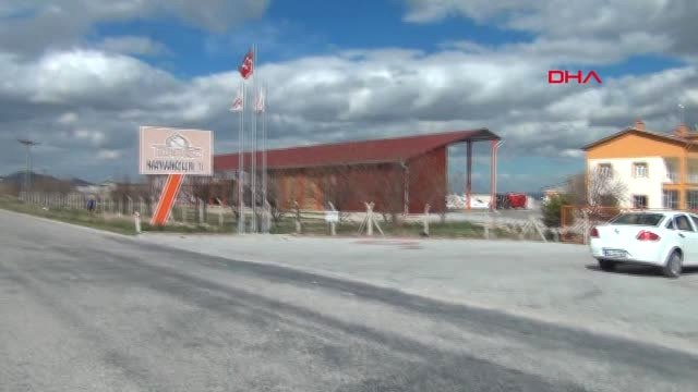 Konya Karapınar'daki Sütbank'tan Üyelerine 'İnekler Telef Oldu' Mesajı
