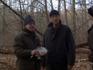 PSI FACTOR 221 - The Endangered