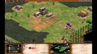 Age of Empires II : How to Fast Imperial - A Fast Imperial Tutorial