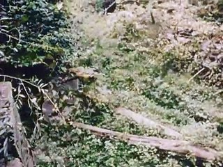 George Dumpson's Place - Ed Emshwiller (1965).mp4