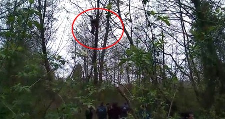 Patlamanın Şiddetiyle Havaya Uçan Talihsiz Adam 20 Metrelik Ağaçta Asılı Kaldı