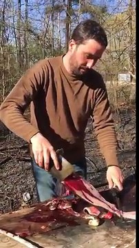 Poisson mort : un serpent mort traînait dedans !