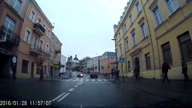 Pies na przejściu dla pieszych