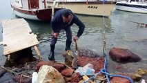 Bodrum'da ölü caretta caretta sahile vurdu - MUĞLA