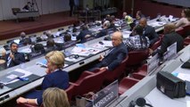 'Zeytin Dalı Harekatı terörle mücadele harekatıdır' - CENEVRE