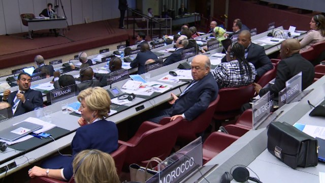 'Zeytin Dalı Harekatı terörle mücadele harekatıdır' - CENEVRE