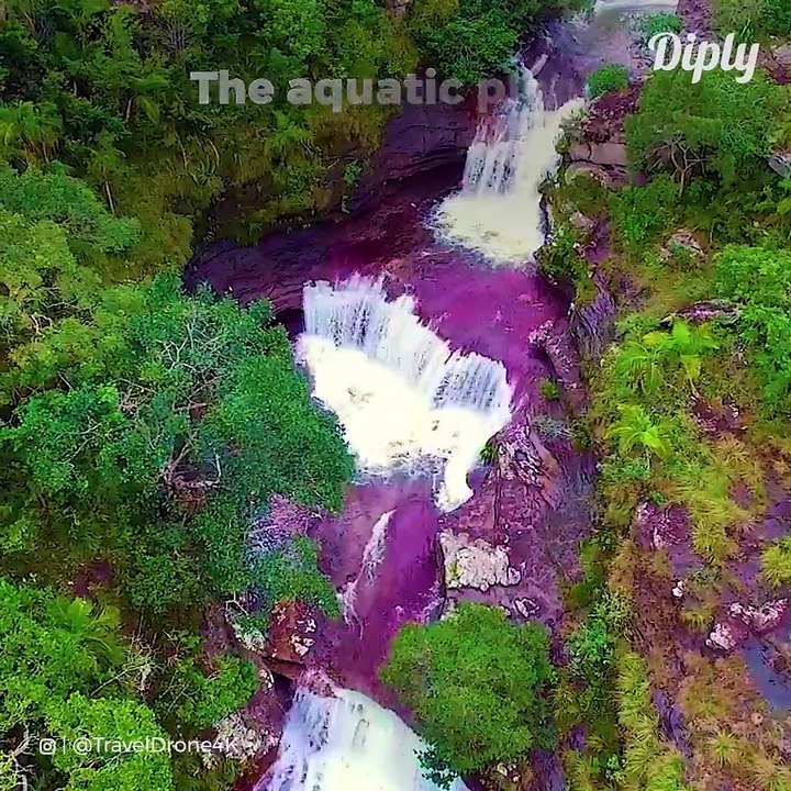 La rivière arc-en-ciel en Colombie porte bien son nom : liquid rainbow