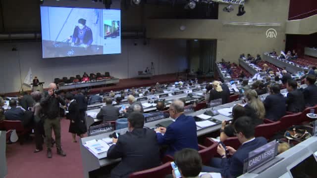 Zeytin Dalı Harekatı Terörle Mücadele Harekatıdır - Cenevre