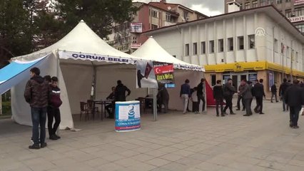 Ülkü Ocaklarından Zeytin Dalı Harekatına Destek