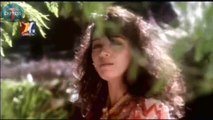 Saajanसाजन (1991)  Romantic Love Song -  Dekha Hai Pehli Baar - Salman Khan and Madhuri Dixit - Full HD