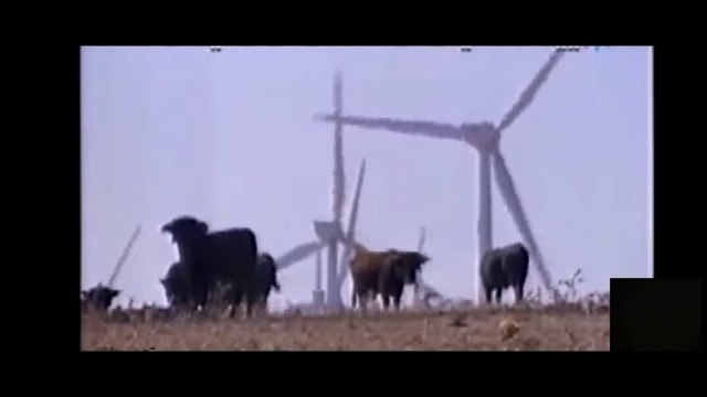 Toros Sin Sombra, Árboles Sin Hojas,Copyright Disclaimer Under Section 107 of the Copyright Act 1976