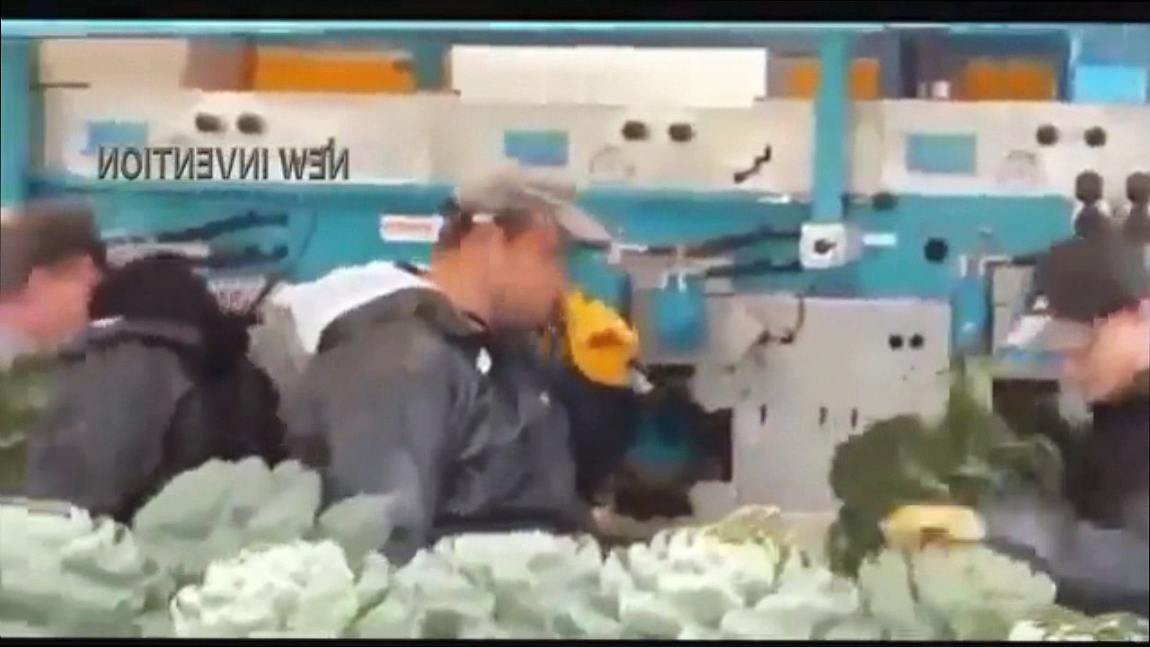 Harvesting 2 New
