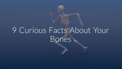 9 Curious Facts About Your Bones