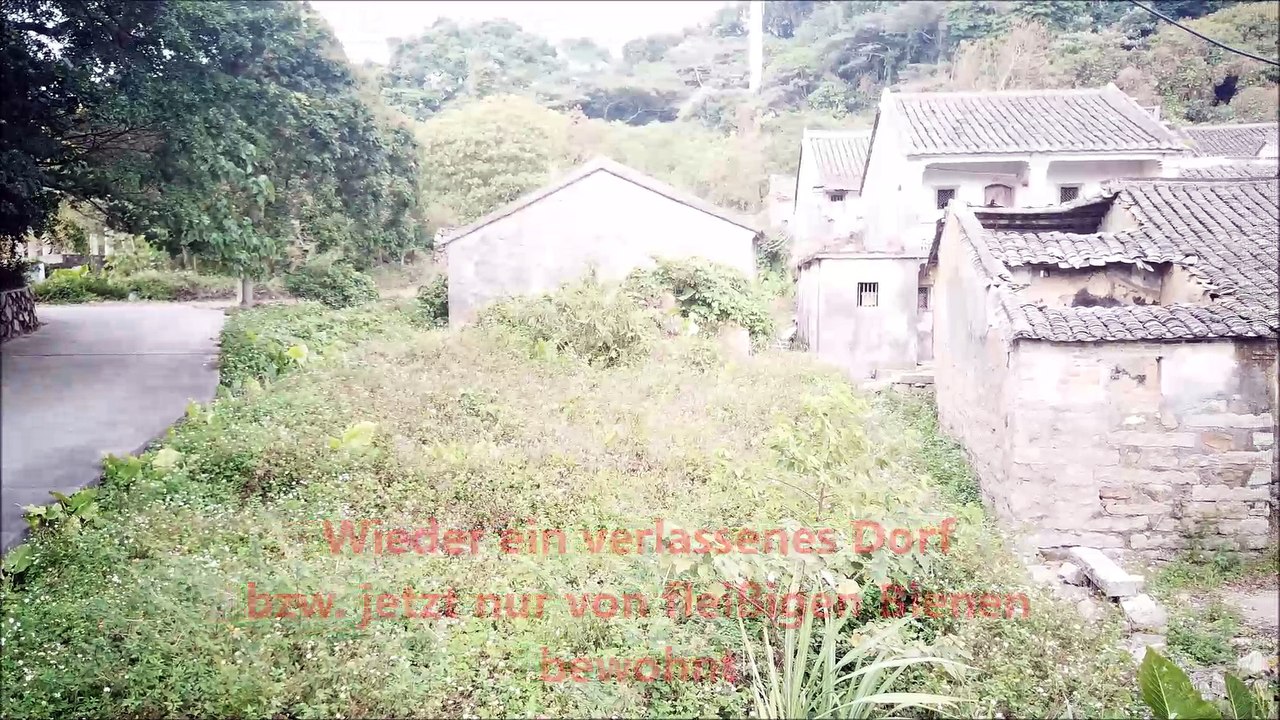 Ein verlassenes Dorf mit fleißigen Bienchen