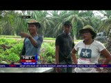 Petugas Ajak Warga Setempat Mencari Harimau Bonita - NET 24