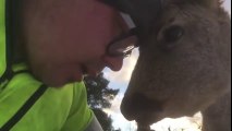 Calin avec bambi qui traînait dans le jardin !