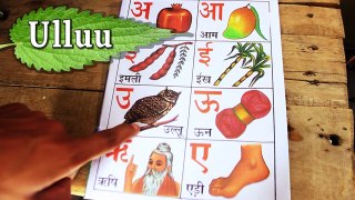 Hindi Alphabets - Vowel Letters (Learn Hindi From Childrens Book 1)