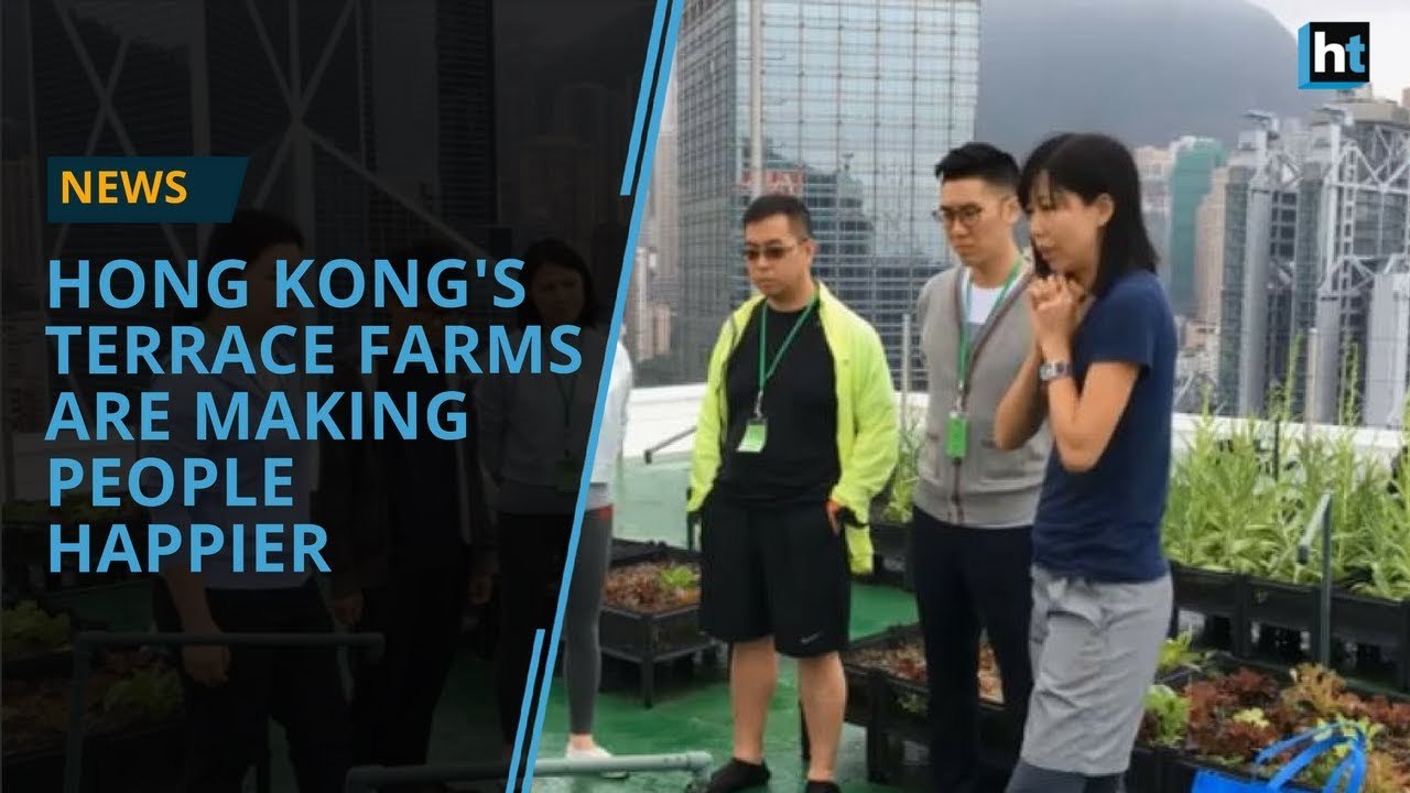 Hong Kong's Terrace Farms Are Making People Hap...