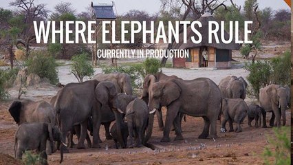 STREAM | ELEPHANT REFUGEES (2017) | FULL - M'O'V'I'E | ONLINE - STREAMING